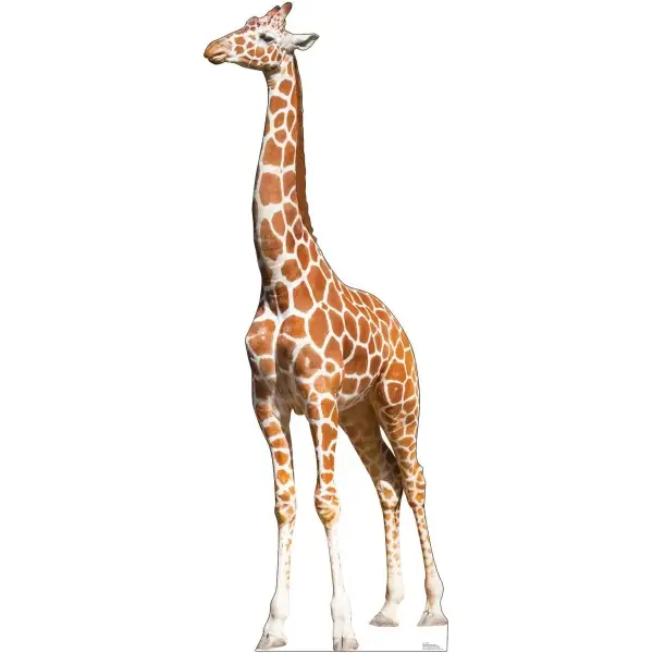 Girafa